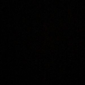 Meet your Posher, Curtis